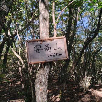 安高山山頂🗻