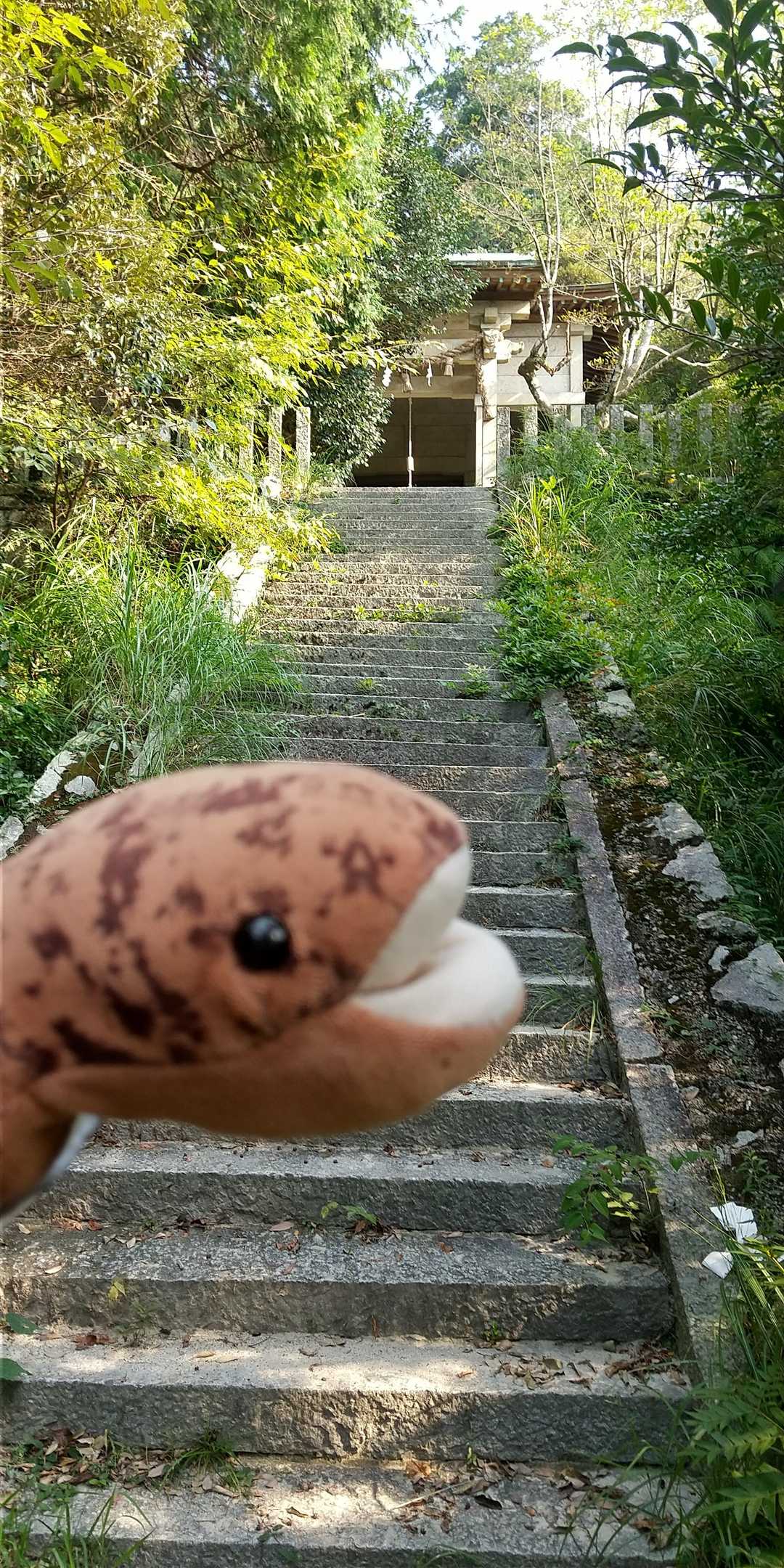 正現神社上宮しゃん😃