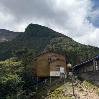 夏沢の小屋
さっきの鹿親子は
この直ぐ手前で見送りしてくれた🦌。