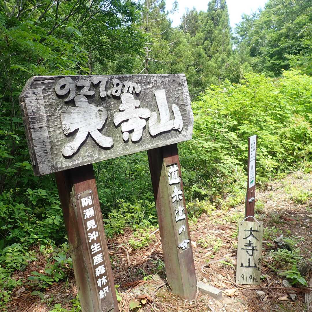 大寺山の最高点🎶