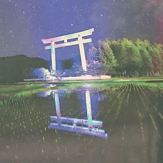 ライトアップの時の写真