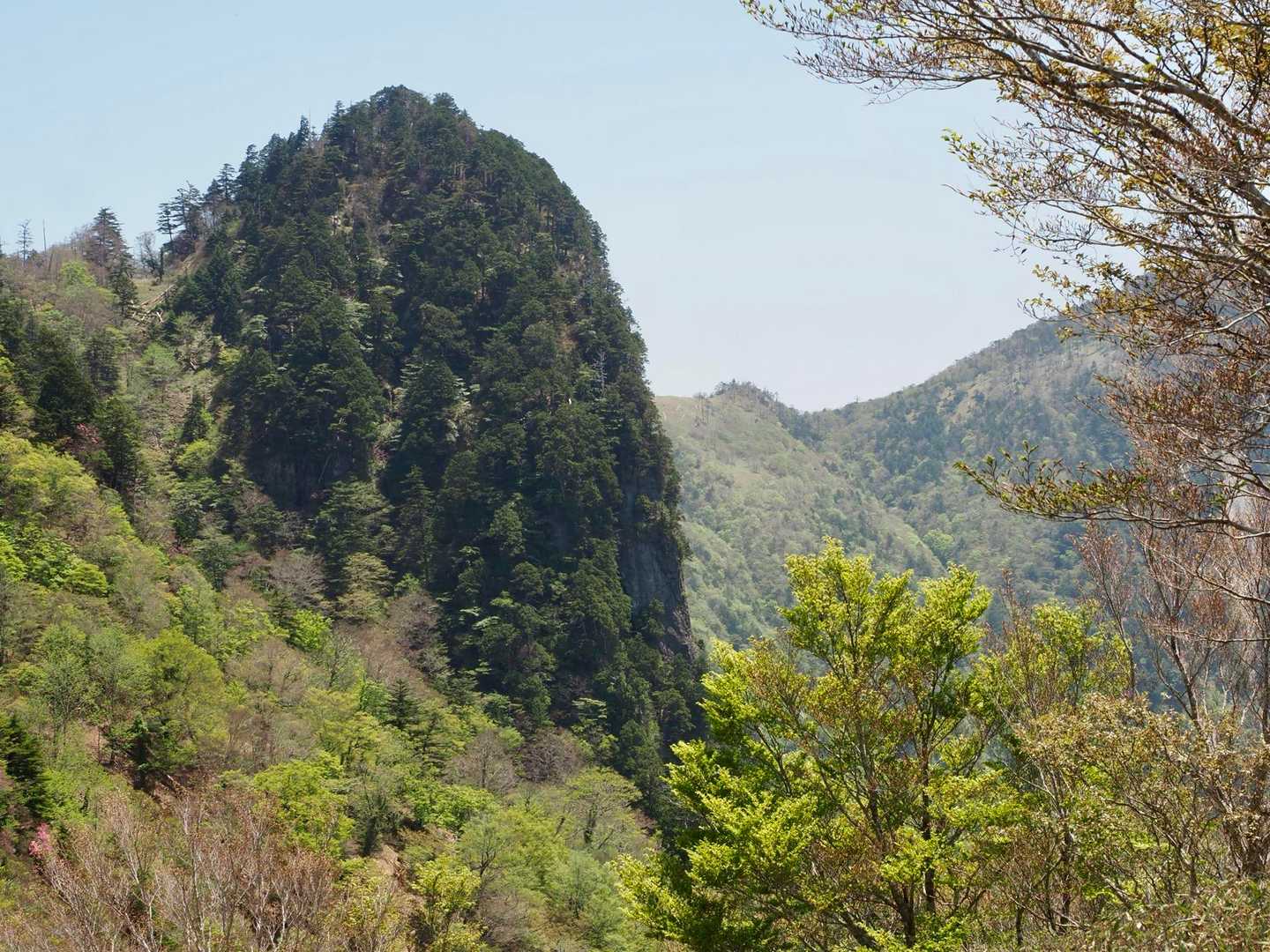 七面山東峰
正面突破は無理なので裏口からお邪魔しました