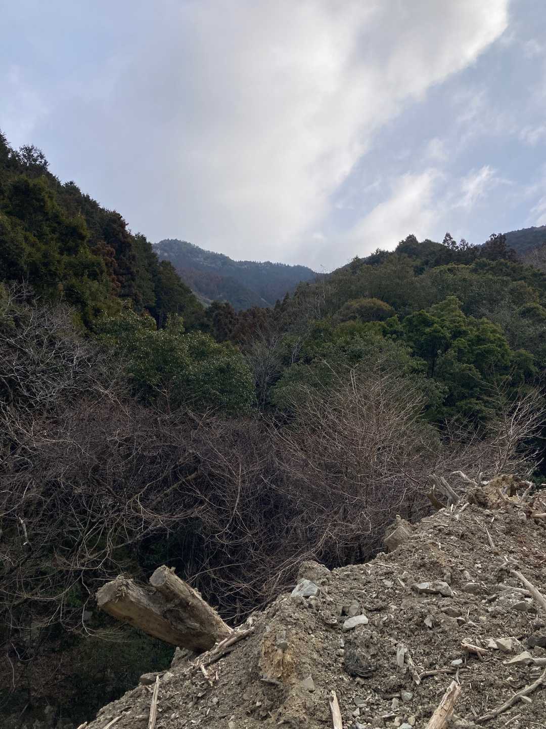 奥に見えるのが矢筈岳？？