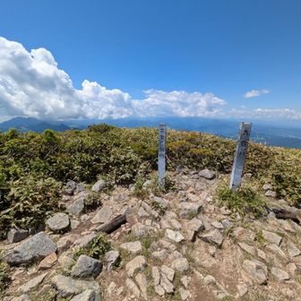 ニセ巻機山って名前、ちょっとかわいそう過ぎる