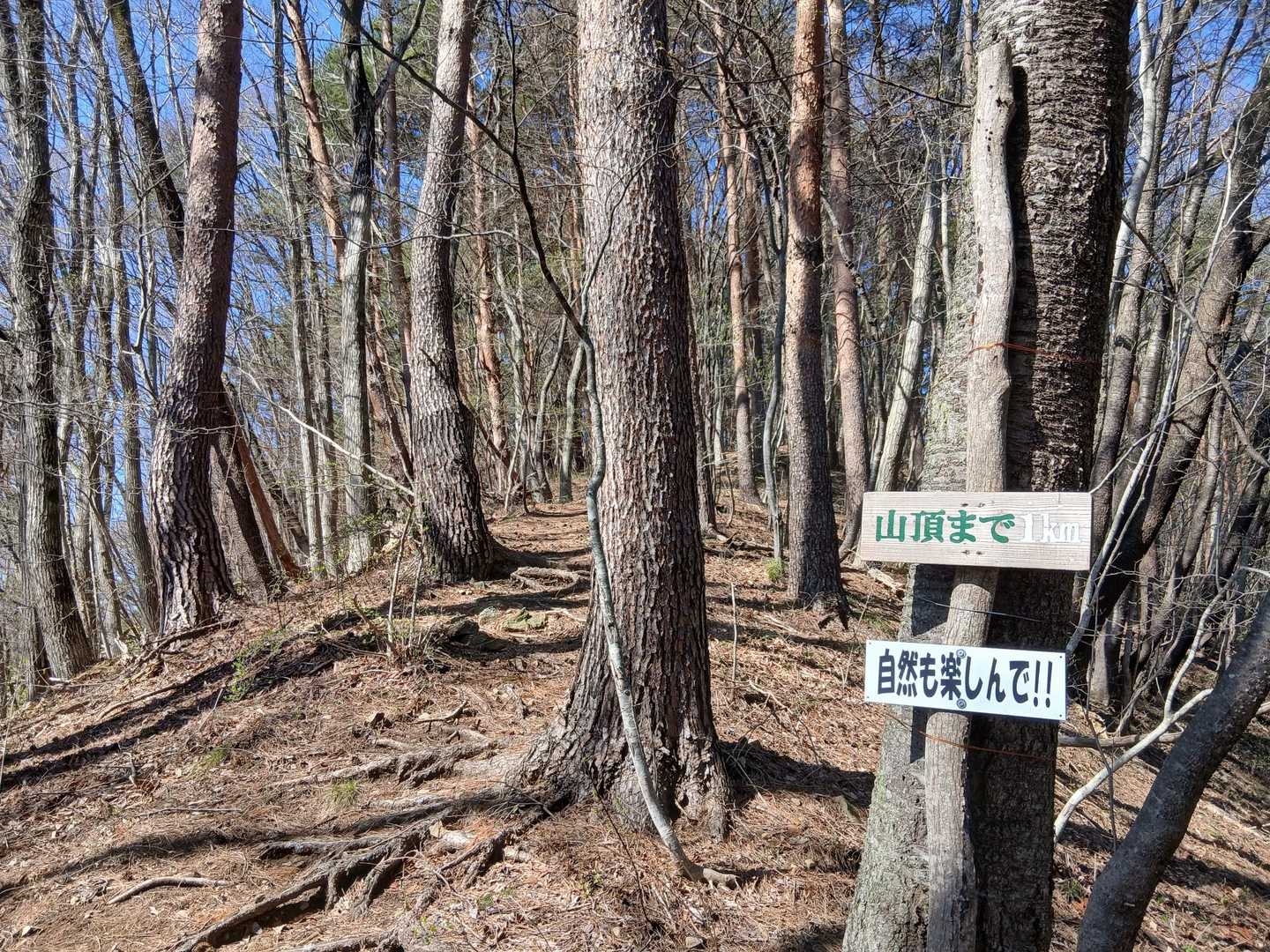 山頂まで1キロ
自然楽しむよ～👍