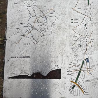 っと読んでいたら雪が～❄