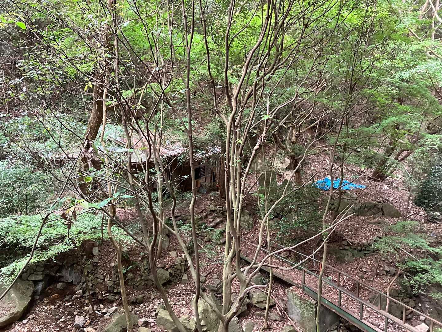 下山開始。
道ゆく人にこの日は15時から雨降ると聞いていてなかなか降らないなと思っていたら、ようやく遠くでゴロゴロ聞こえてきました⚡️