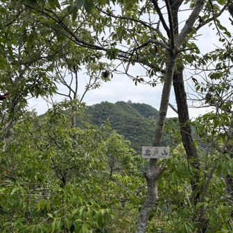 岩戸山⛰️