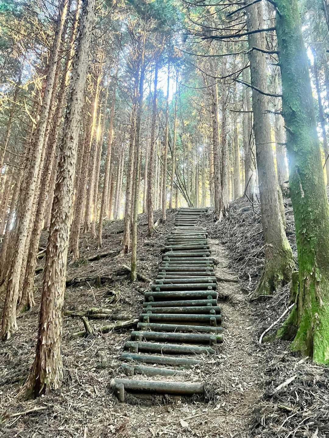 まーた階段