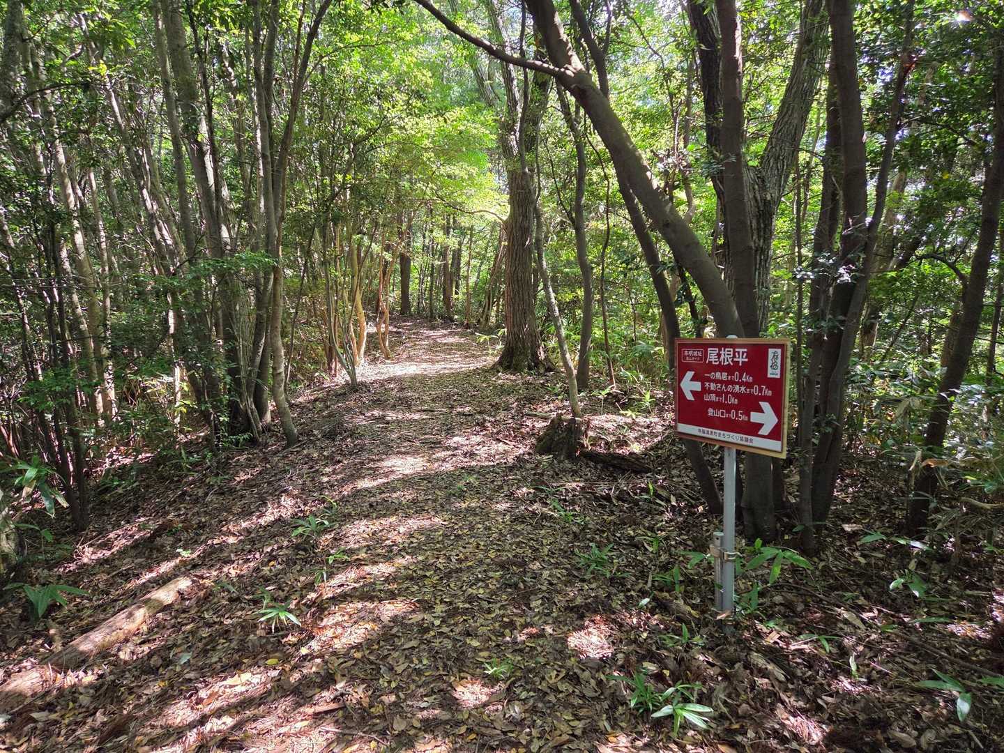 歩きやすい登山道
