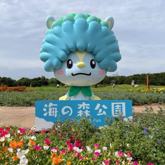 こんにちわ