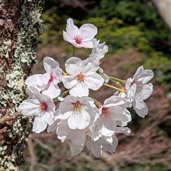 大龍寺近くの公園で