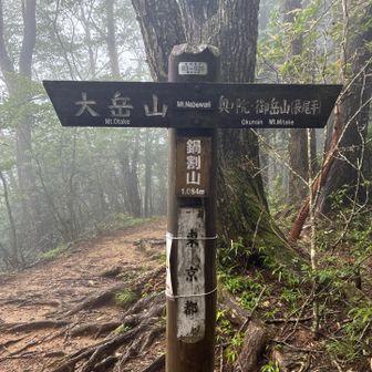 奥の院峰から鍋割はすぐでしたね。この辺は結構雨でした☂️