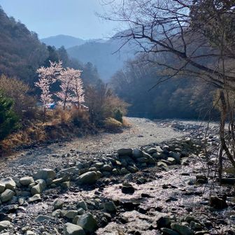 はい、お疲れ様でした♪
あっという間にビジターセンター到着です😅
その後、100円のアズキバーアイスを購入してルンルンで帰宅しました
また来年も素晴らしい黄金の景色を見たいと思います
ありがとうございました
ヽ(*´∀｀)