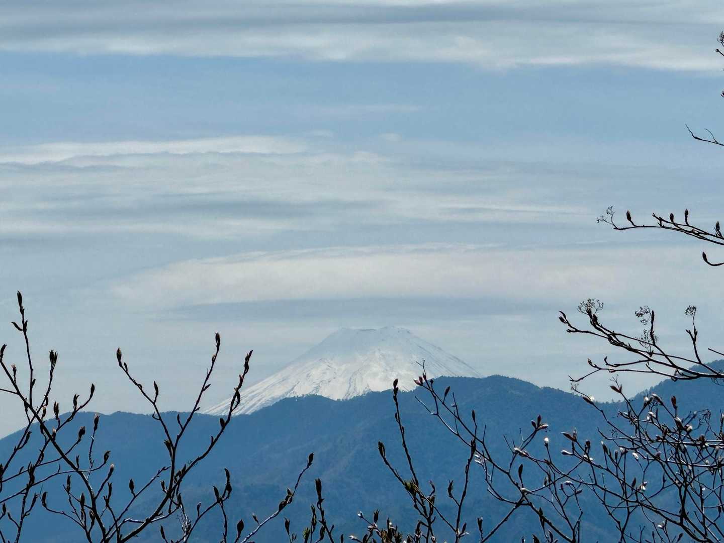 飛龍山（丹波バス停）＜ミサカ尾根＞の写真