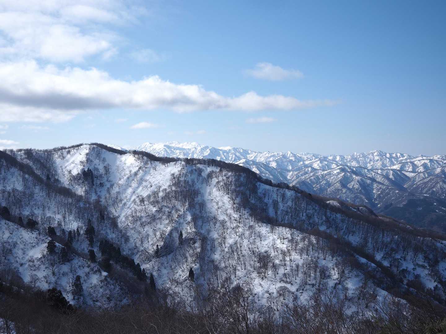 白兀山-蛇尾山-夕霧峠 周回コースの写真