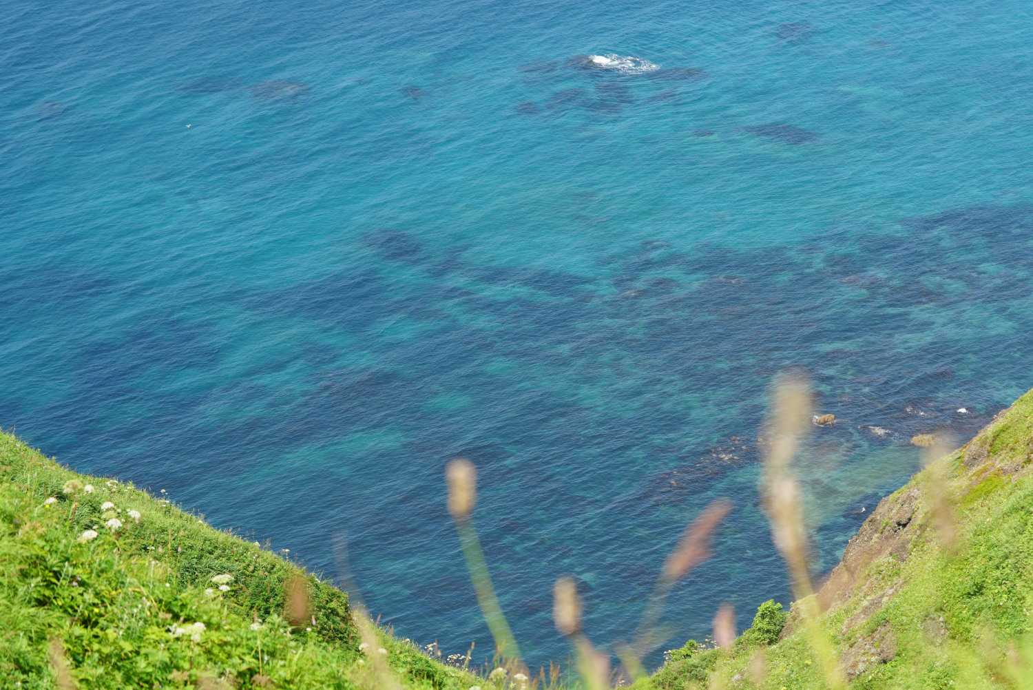 今日の海の青さも素敵です。