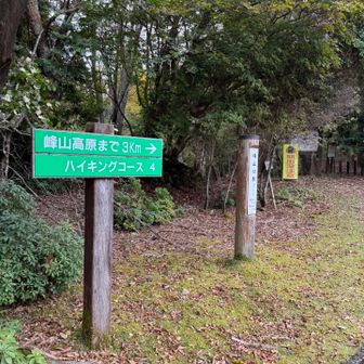 峰山に変更！登山口でおやつタイムしてスタート！