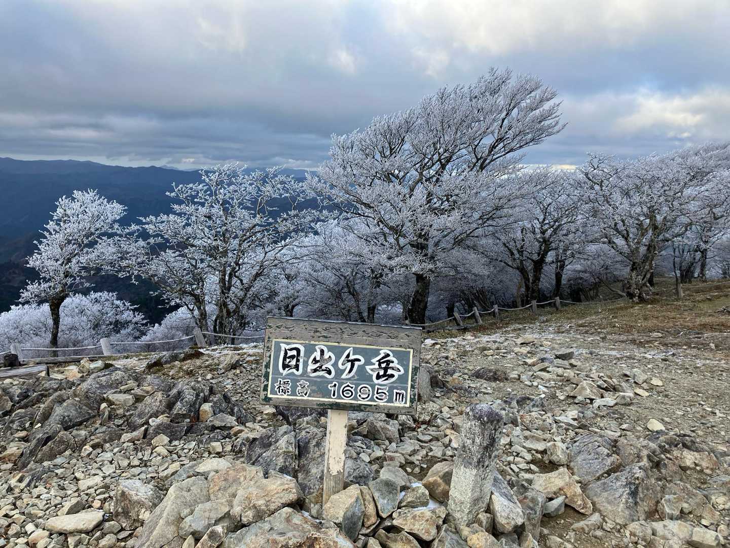 東大台コース | 白き立ち枯れの森が魅せる神秘の世界、初心者も感動する近畿の秘境の写真