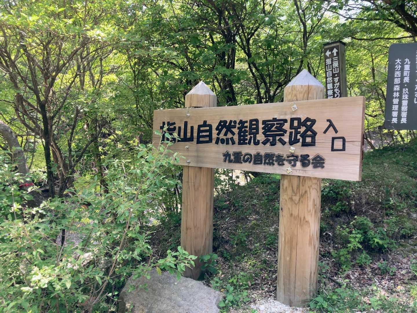 くじゅう登山口-くじゅう登山口バス停-指山自然観察路分岐登 往復コースの写真
