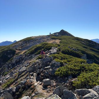 浄土山のピークがわからないまま。先に見えるは龍王岳。