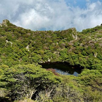 御池の周りも緑が綺麗