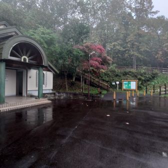 嵐山展望台の駐車場
トイレはボットン和式２。
紙あり。手洗い&鏡なし。

ものすごい降ってきたので、縦走はやめることにして雨が気持ち弱まるまで車でまったり🥱
縦走路には現在オオスズメバチ発生中で立入禁止。雨でオオスズメバチが弱まるから行こうと思って来たけど、ここまでの雨だと行く気にならず。
ザックも背負わず飲食ももたず、スマホだけ持って３座だけ回ることにします。
