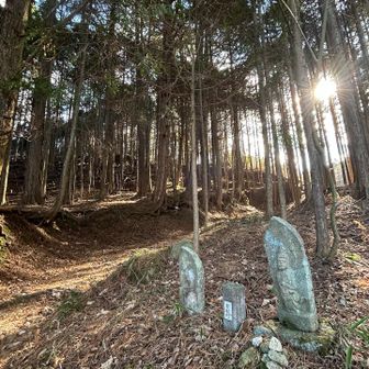 登山道には、石仏を何体も見かけた🙏