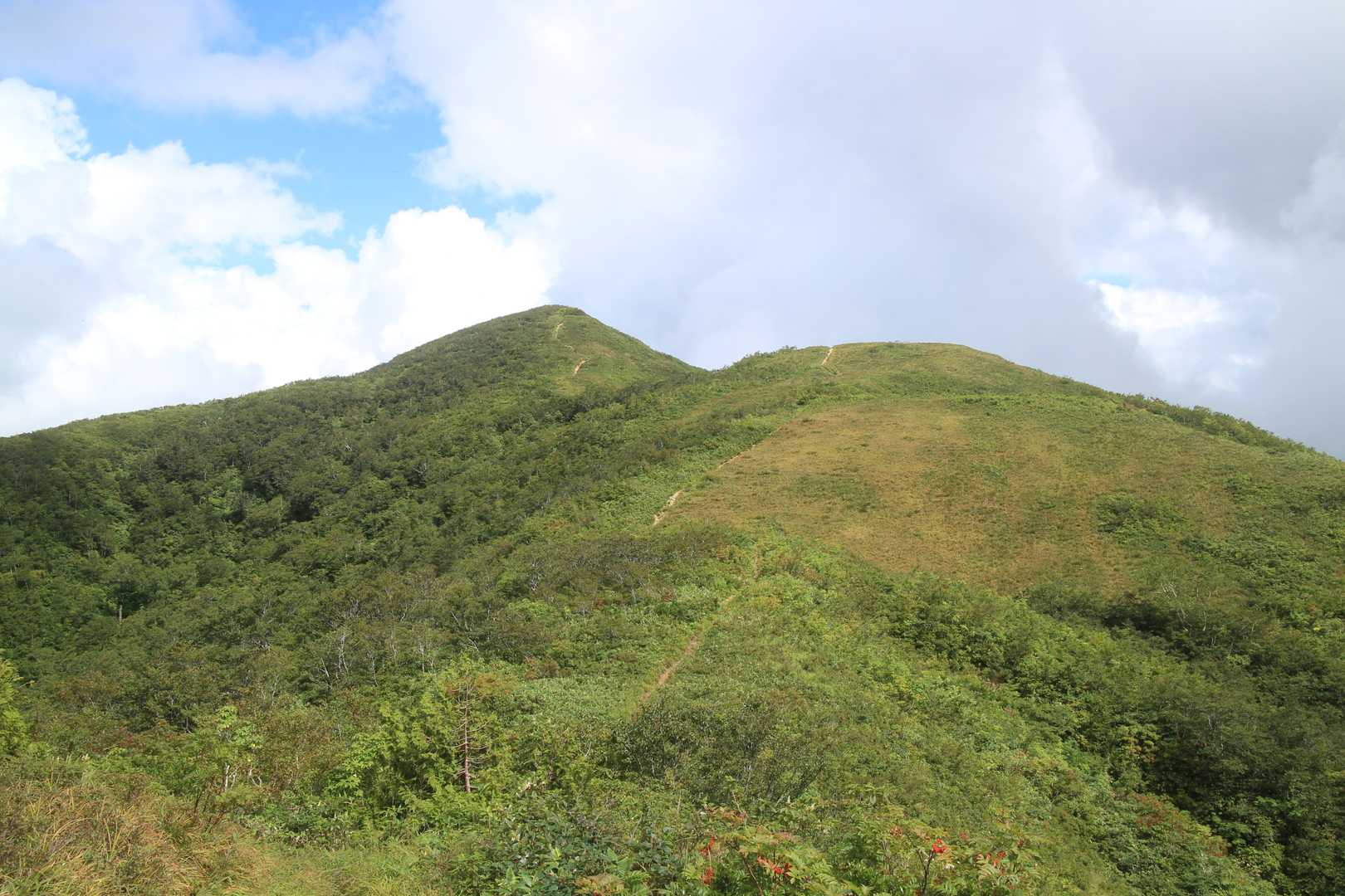 栃谷登山口-片折岳-奥金剛堂山 往復コースの写真