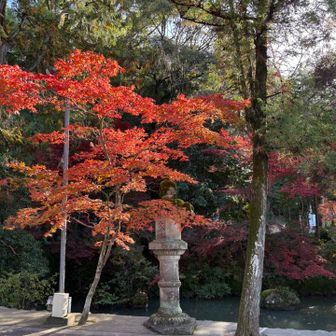 下山完了、お疲れ様でした〜