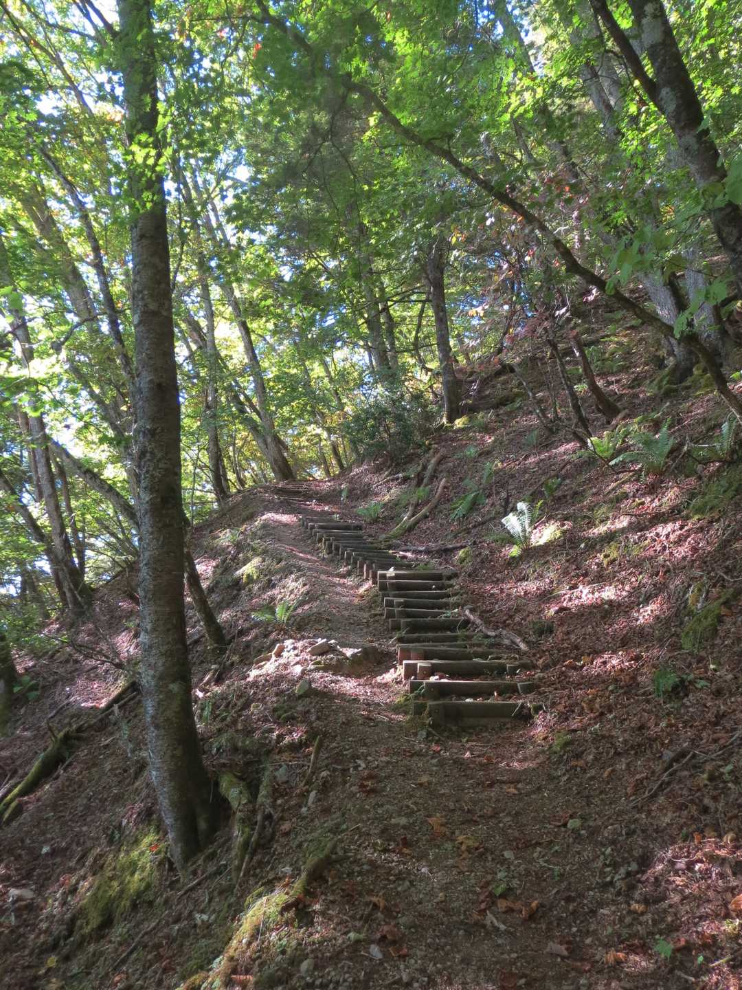 地味に急登😆
すでに1900ｍ越えているのに暑い💦