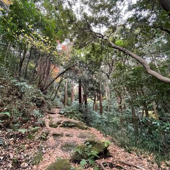 山っぽくなってきた。