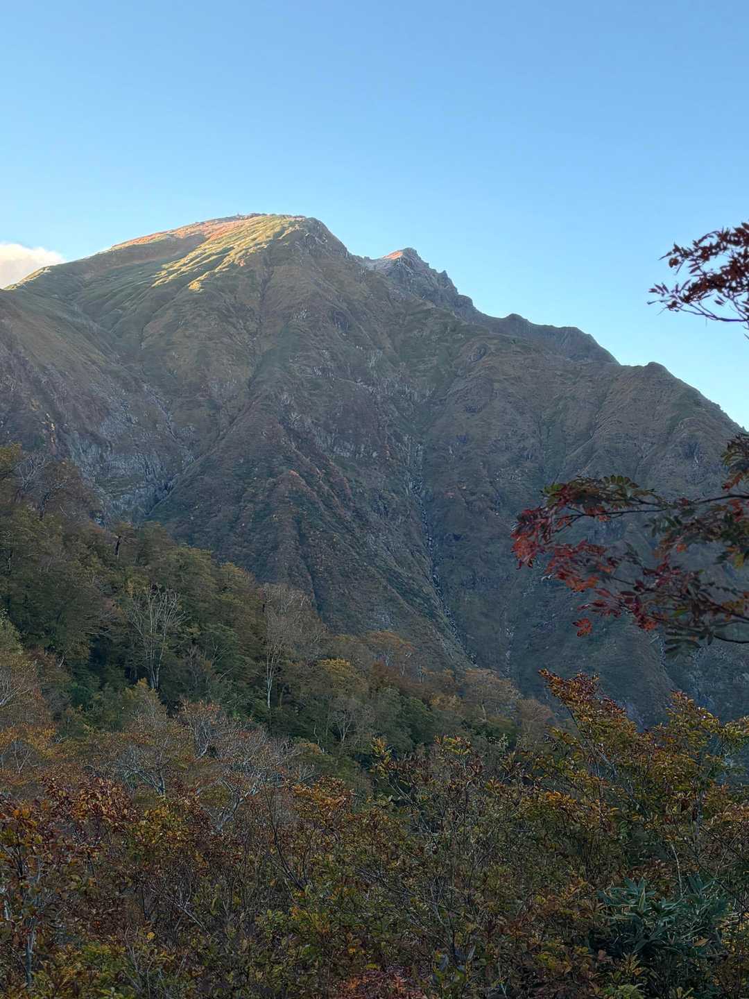 谷川岳ロープウェイ 天神平駅-登山入口-熊穴沢ノ頭-天狗の 往復コースの写真