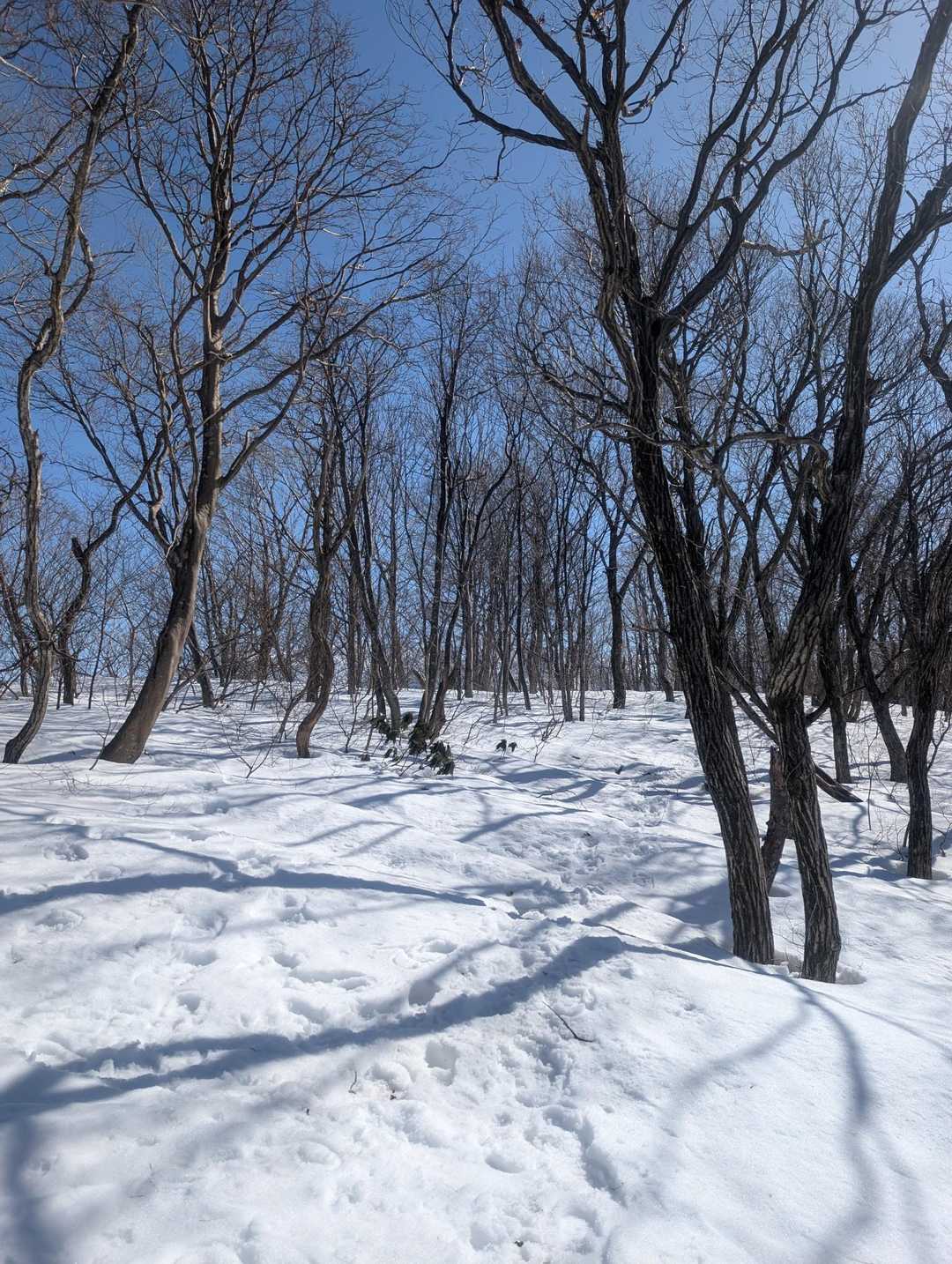 丸山到着🏔✨