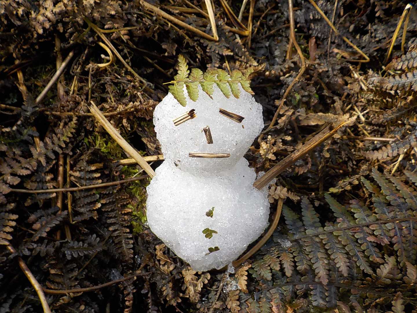 下山途中に雪（氷）がわずかに残っていた