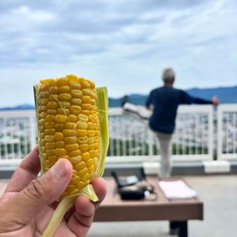甘くてUMAI🌽🙌
今が旬
