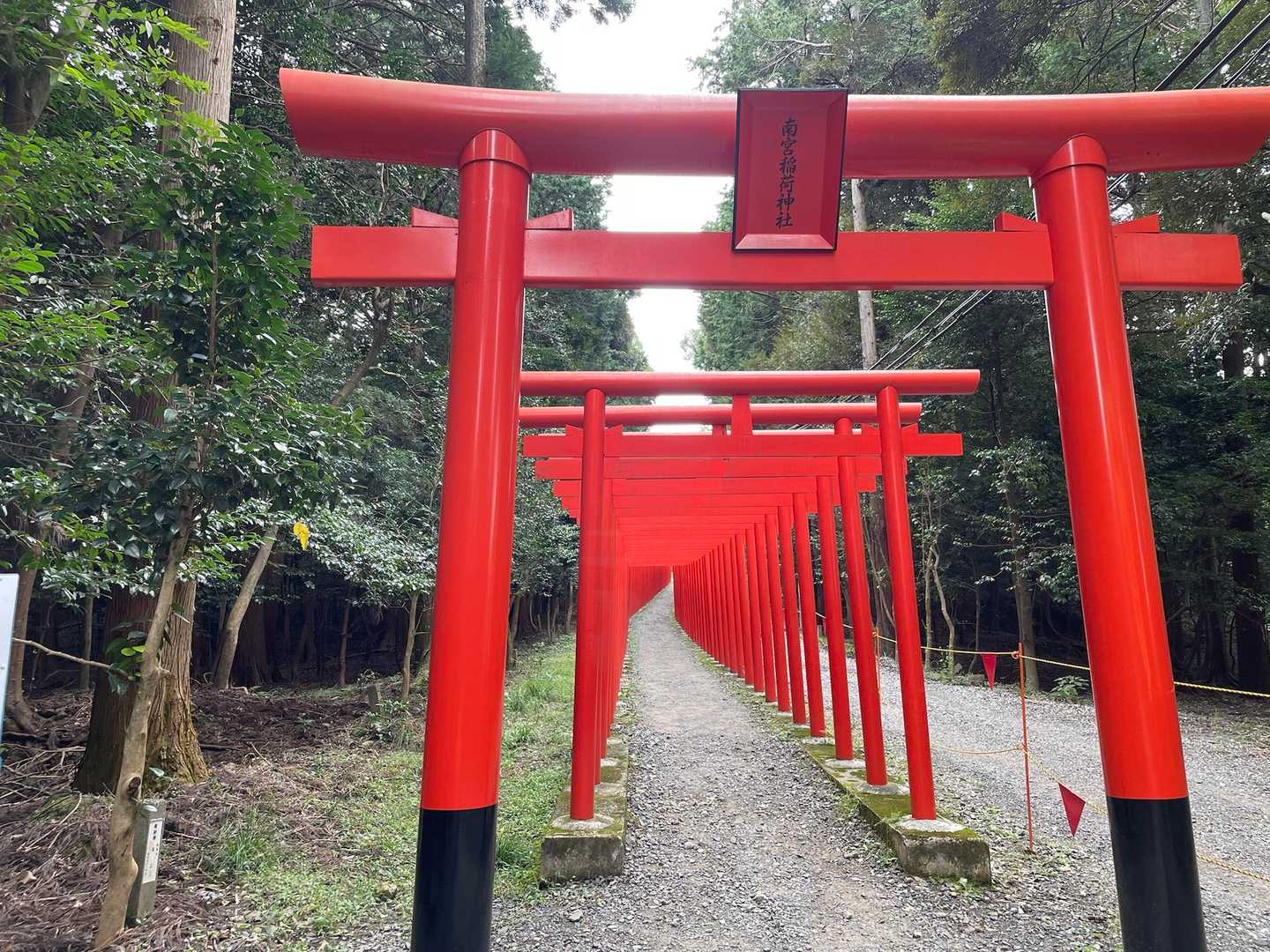 どれほど泣いたなら