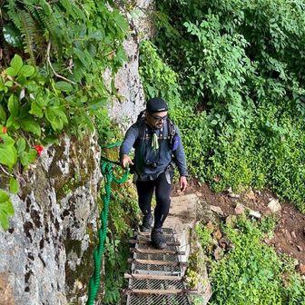 ᴛᴏᴍɪᴏᴋᴀ ᴍᴇᴏᴡ