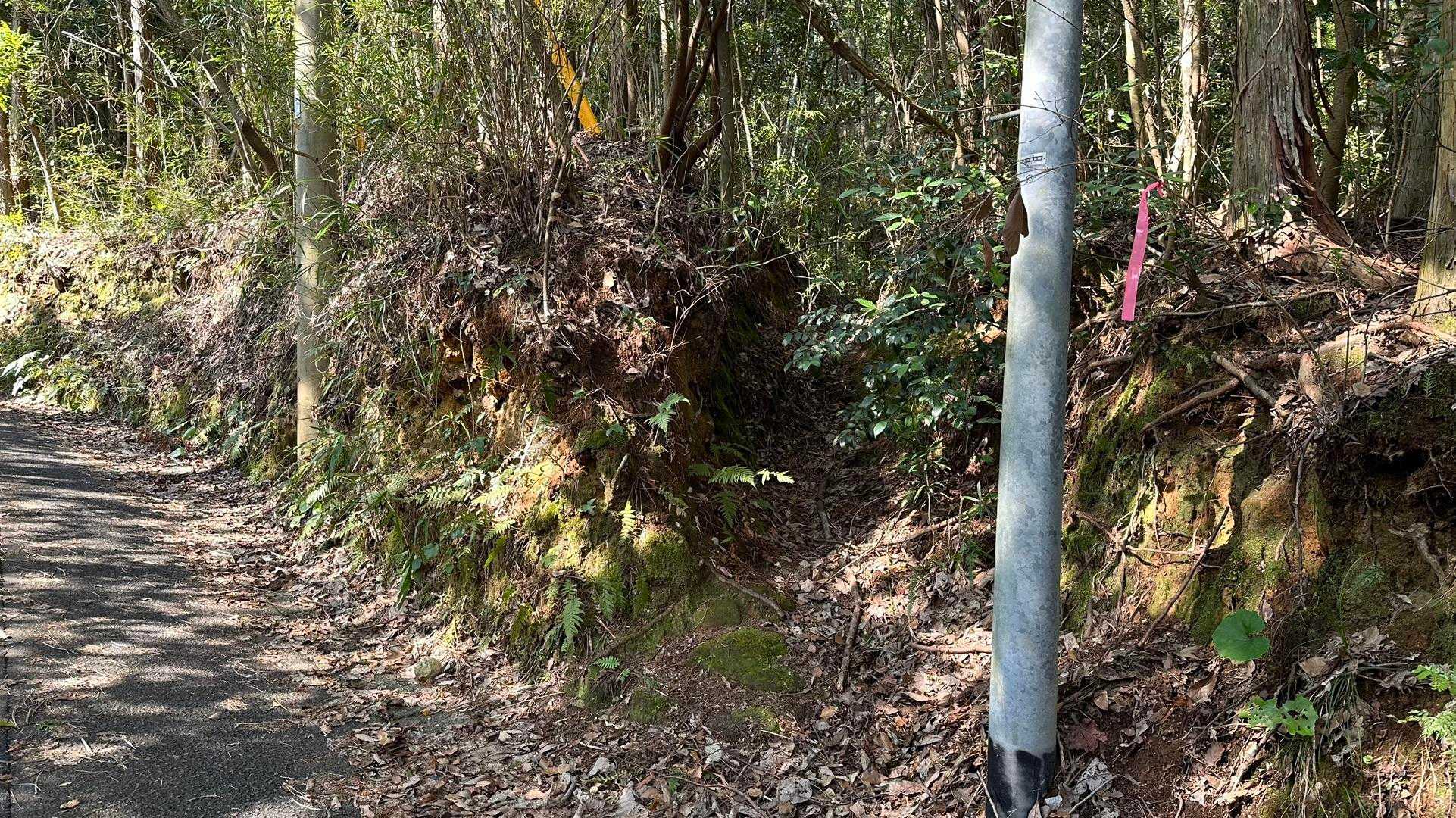 ココ、行く時間違えて右に入っちゃいました😅
舗装路じゃなくて、どうしても山に足が向いちゃうんだよねー