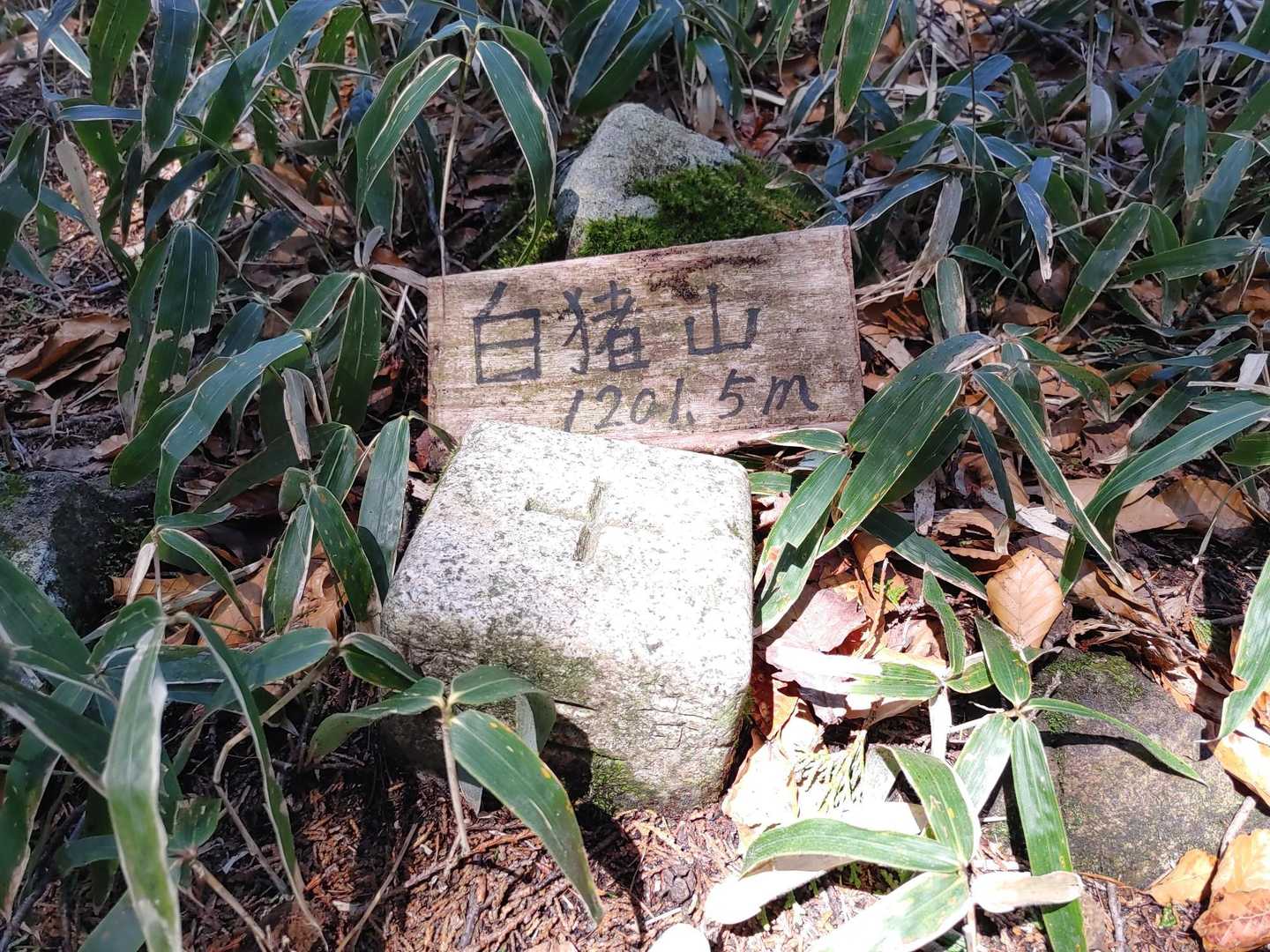 白猪山登頂　1201.5m