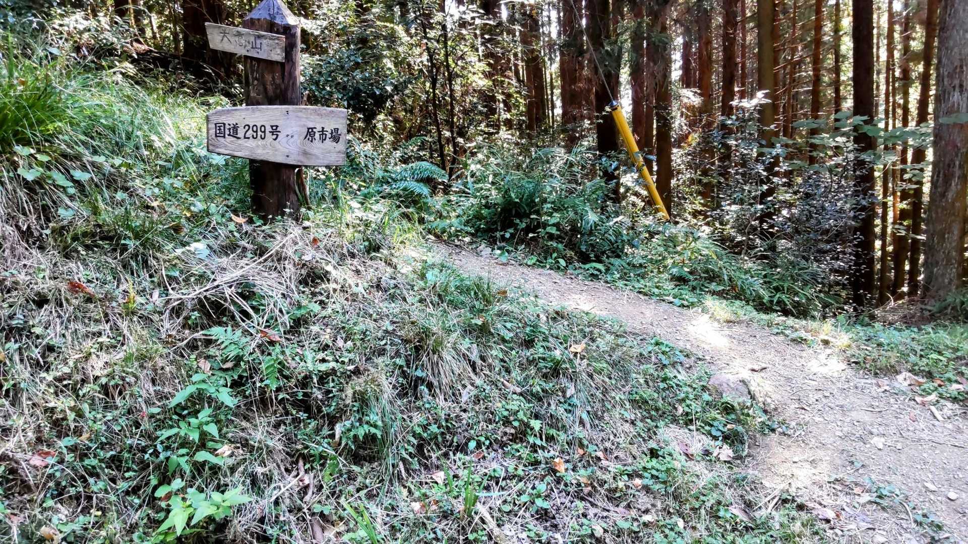 ここから舗装路に下りて