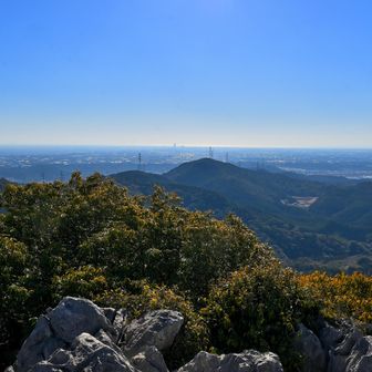 立須からの眺望
浜松市街、アクトタワー方面