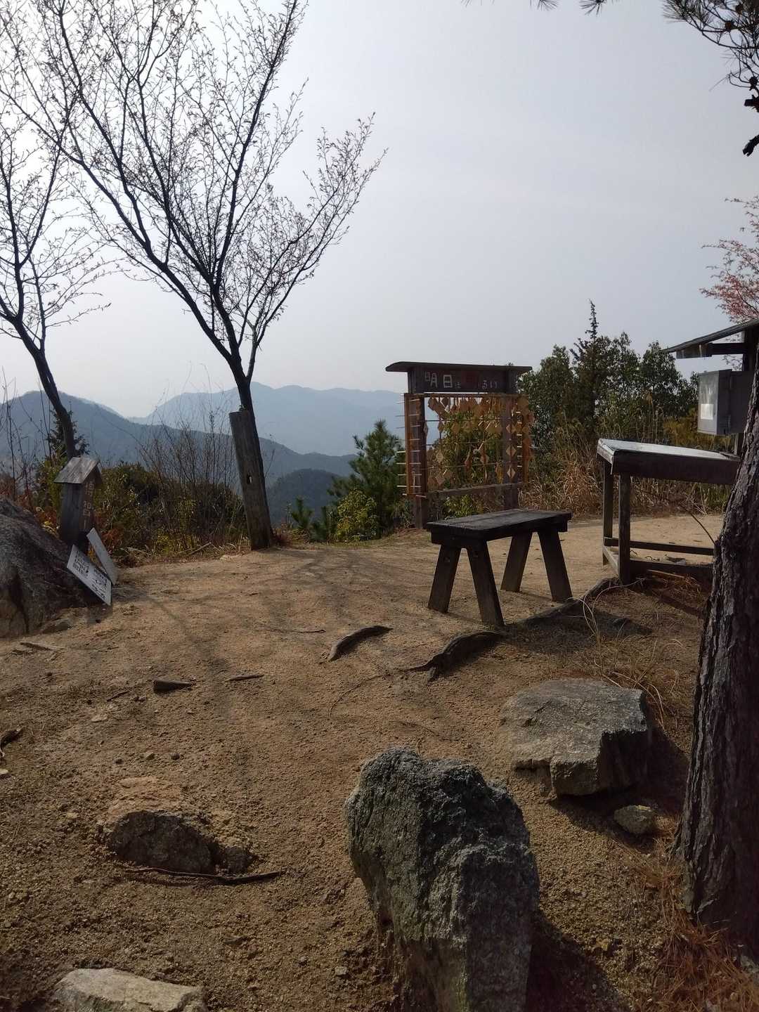 博打山登ってきました