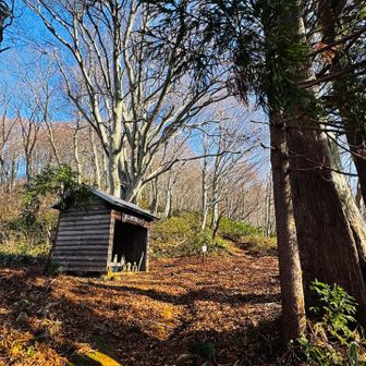駒の小屋までの尾根道😂
　好き過ぎてに往復してみた♪