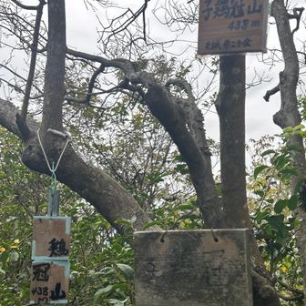 子鶏冠山(コケイカンヤマ)GET
ここで若者グループと一緒になった。
みんな元気〜。歩き慣れて無さそうに見えるのに全然平気そう。