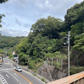 一山越えて歩道橋を渡り、音羽山へ向かいます