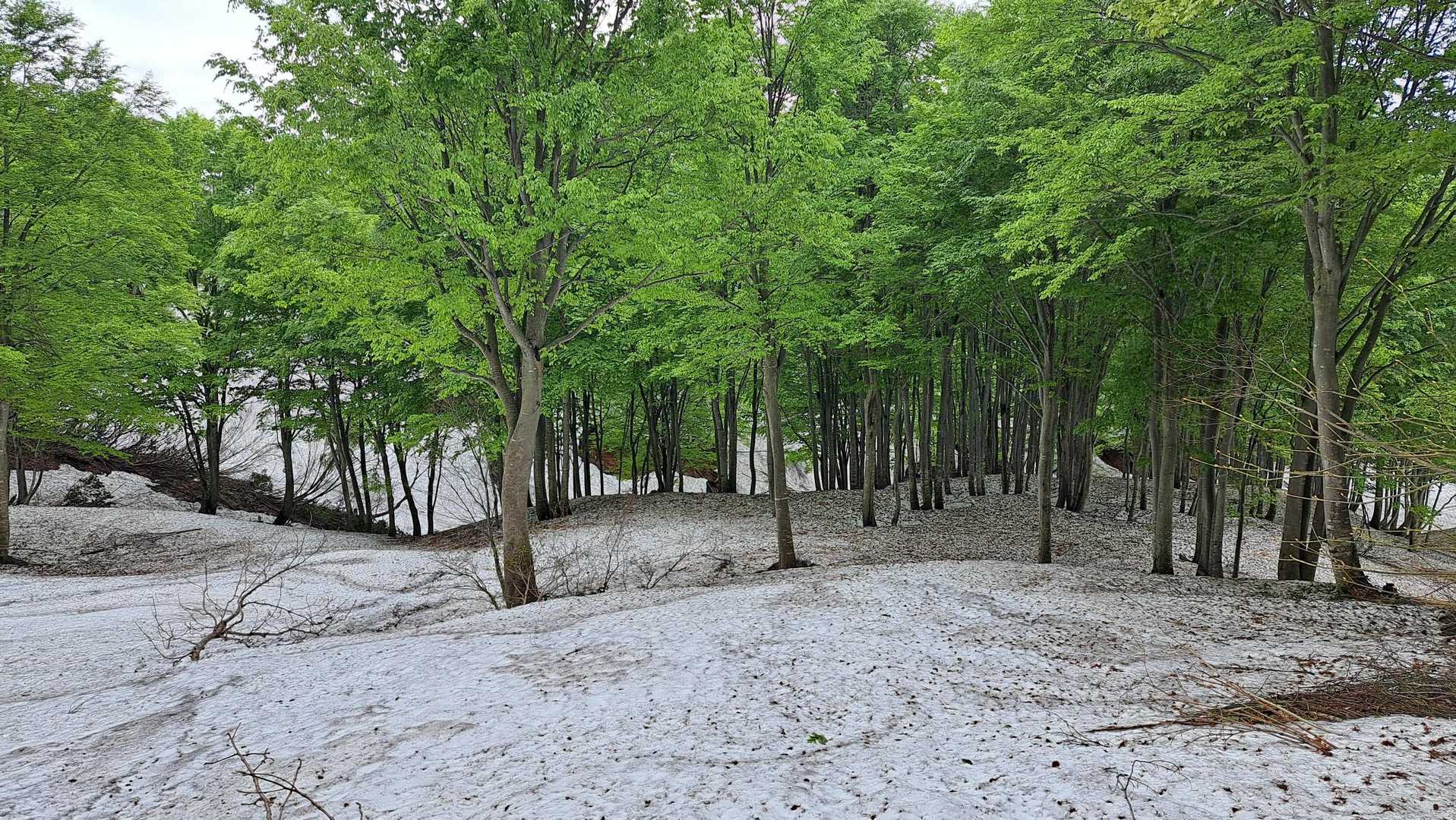 下山コースには雪がたっぷり🤩　　　
この先、沢の上で踏み抜くも、片足だけで済んでよかった😱