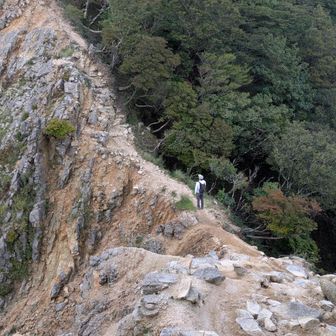 画像より、実際は道幅あります。