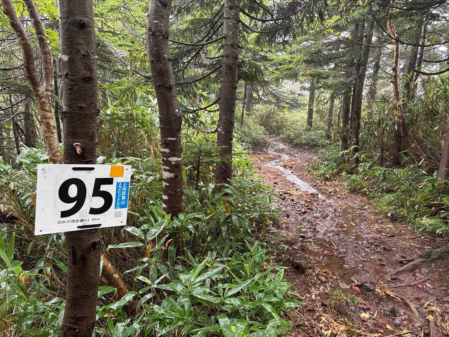来週末にはスカイビュートレイルが予定しています。参加の皆さん、水が流れる登山道、気を付けてください。😌