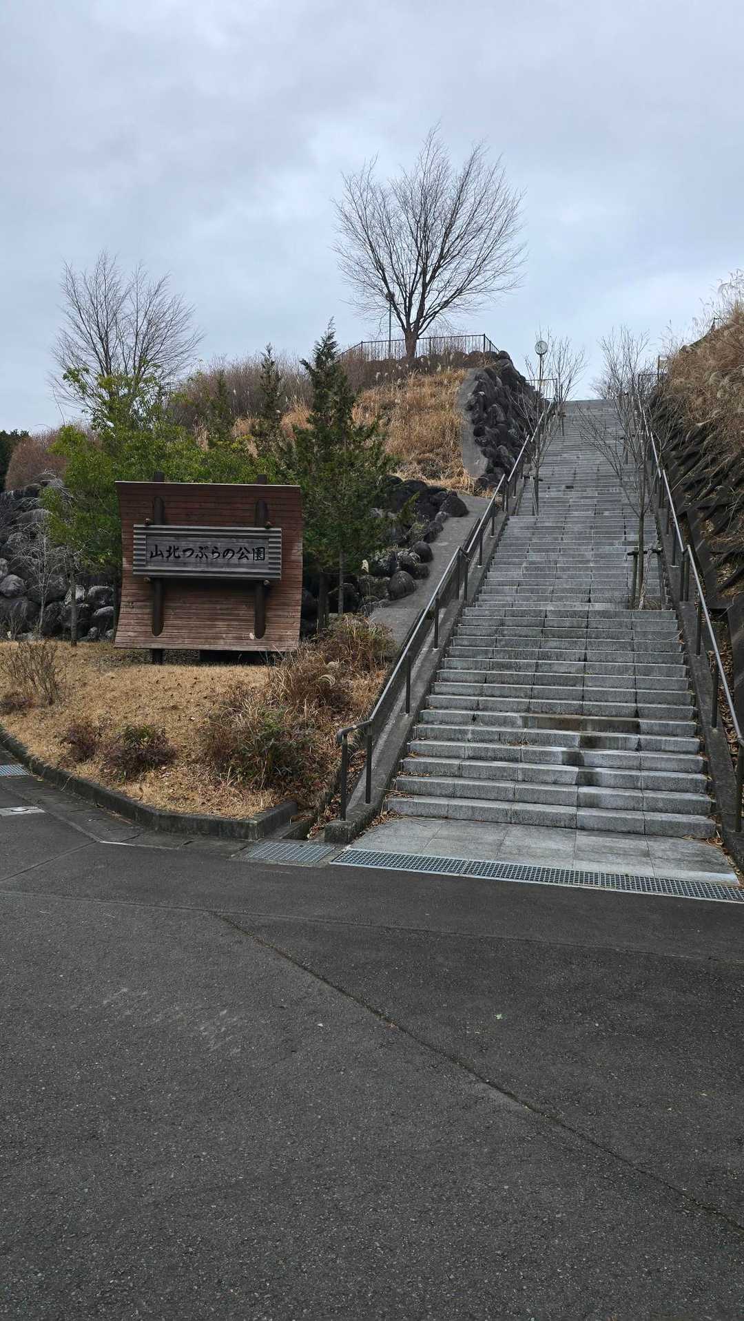 駐車場直下の新しい階段、キツイ😵💦